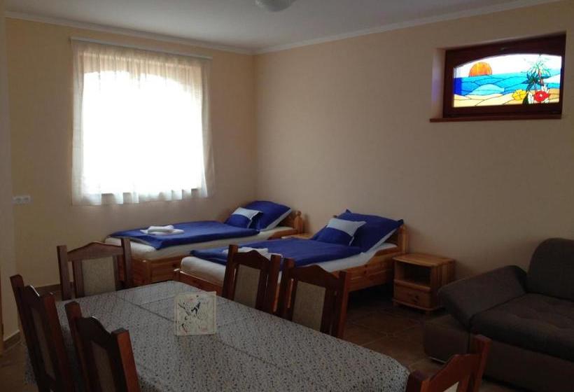 ペンション Vidor Vendégház