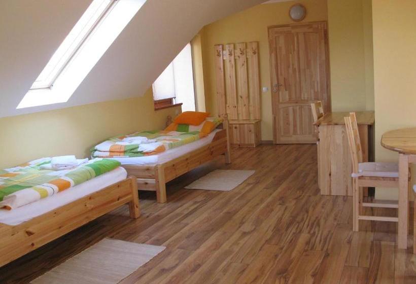 ペンション Vidor Vendégház