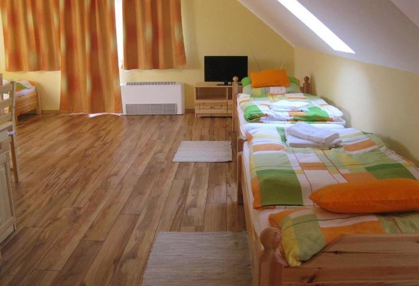 ペンション Vidor Vendégház