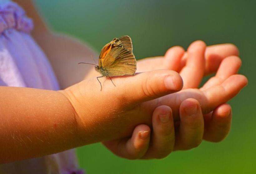 Sonnmatt Bergpension & Gesundheitszentrum
