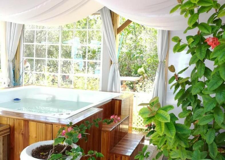 호스텔 Casa Royal Palm Inn