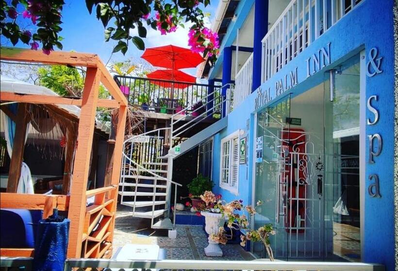 호스텔 Casa Royal Palm Inn