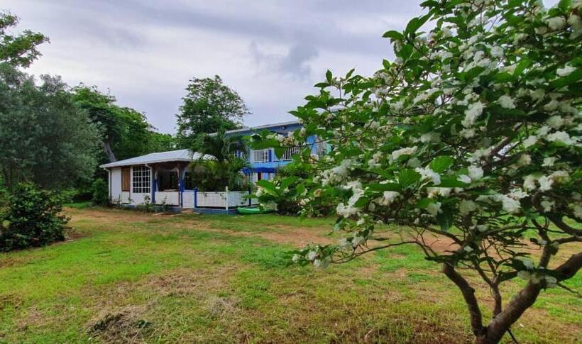 호스텔 Casa Royal Palm Inn