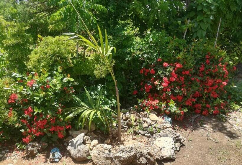 호스텔 Casa Royal Palm Inn