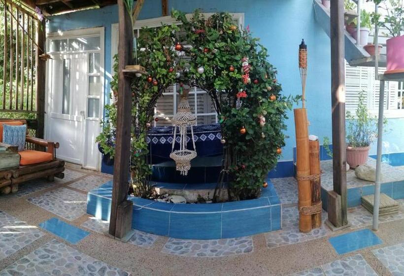 호스텔 Casa Royal Palm Inn