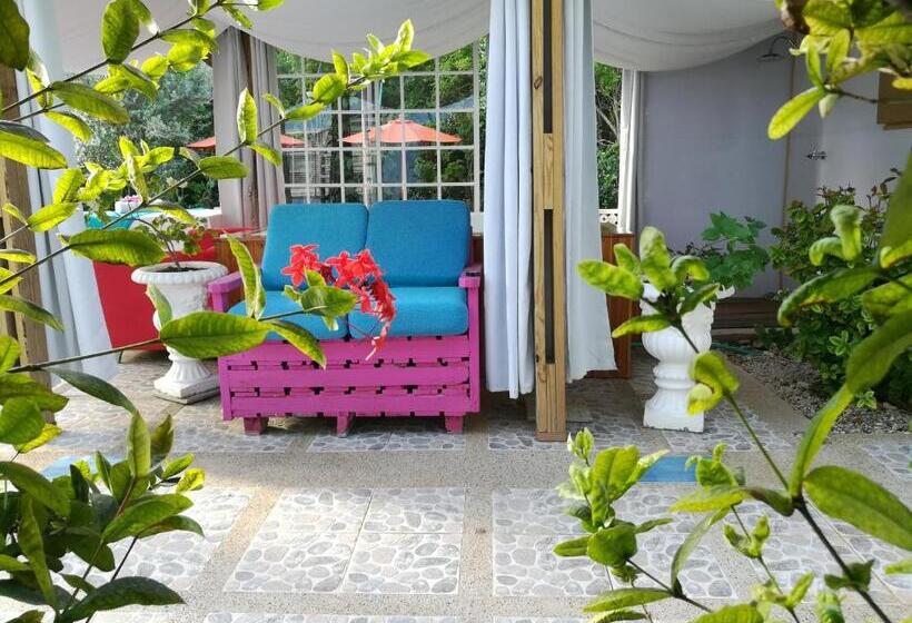 호스텔 Casa Royal Palm Inn