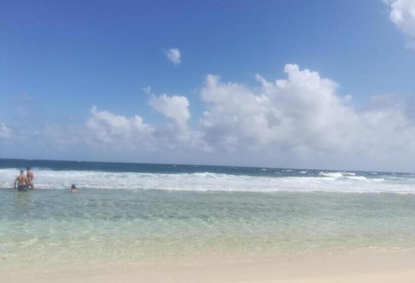 호스텔 Casa Royal Palm Inn