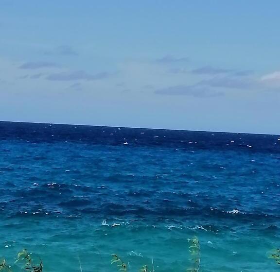 호스텔 Casa Royal Palm Inn