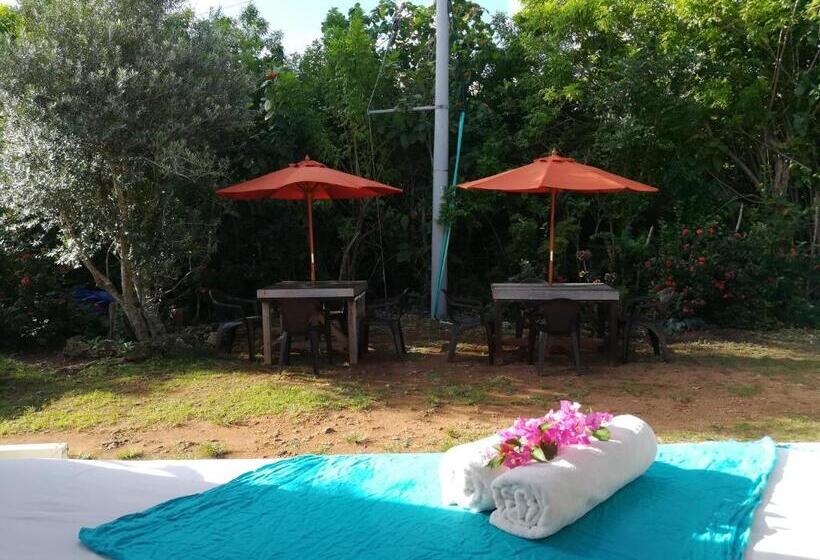 호스텔 Casa Royal Palm Inn