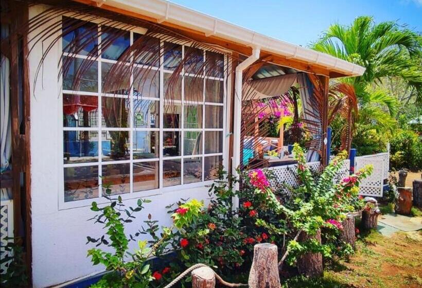 호스텔 Casa Royal Palm Inn