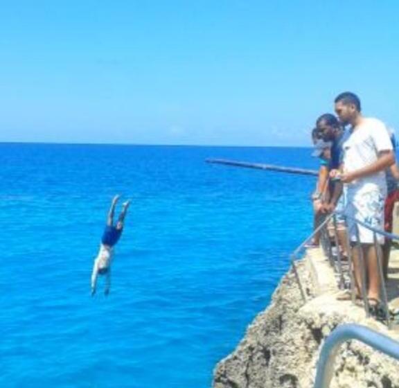 호스텔 Casa Royal Palm Inn