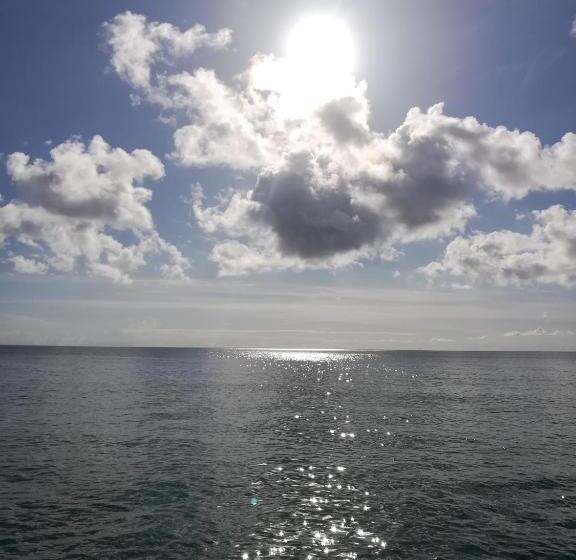 호스텔 Casa Royal Palm Inn