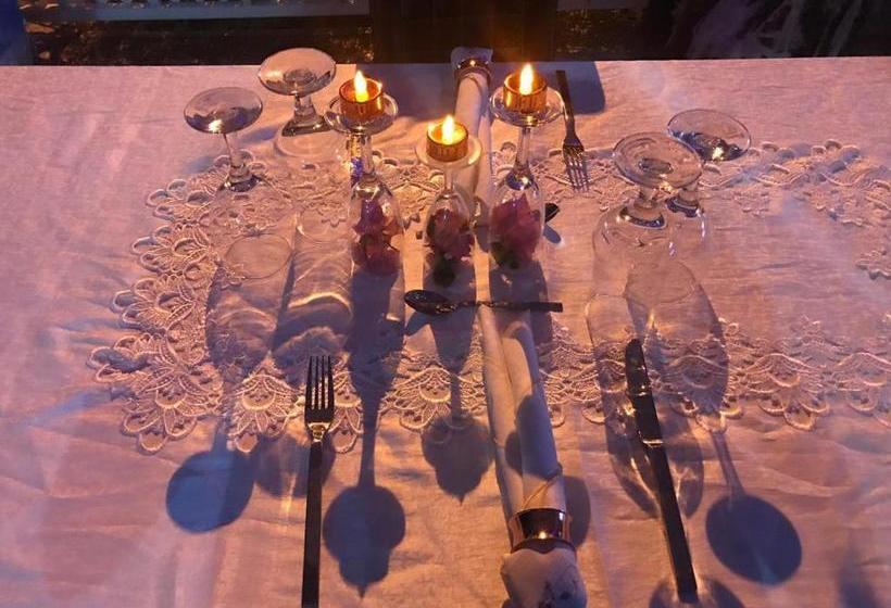 호스텔 Casa Royal Palm Inn