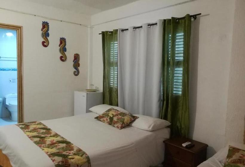 호스텔 Casa Royal Palm Inn