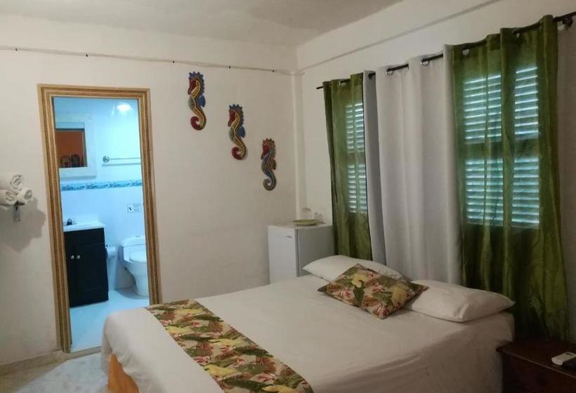 호스텔 Casa Royal Palm Inn