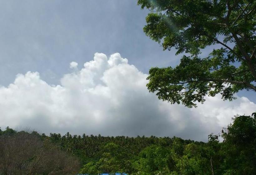 호스텔 Casa Royal Palm Inn