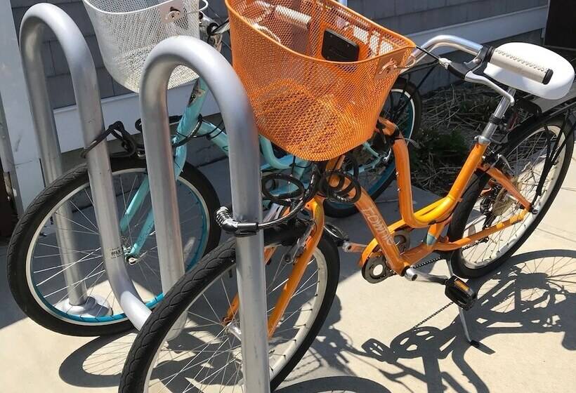 הוסטל The Break