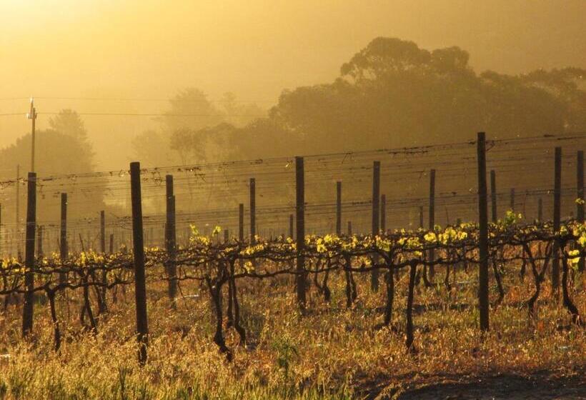 هتل Topiary Wine Estate & Cottages