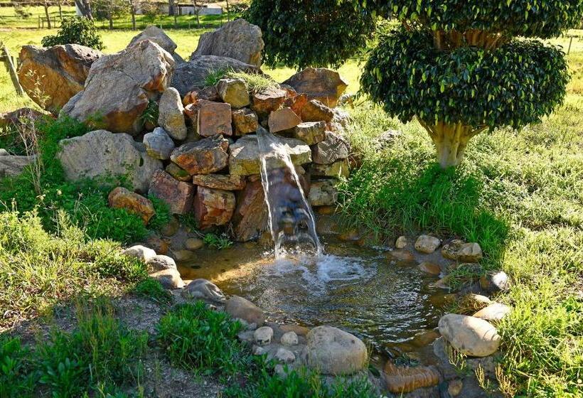 هتل Topiary Wine Estate & Cottages