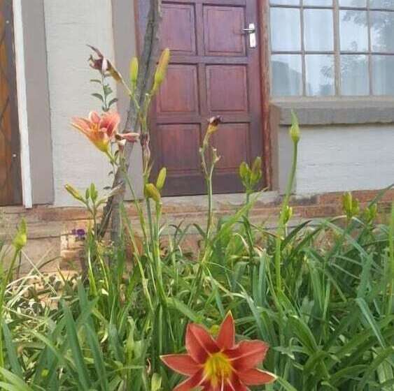 Пансион African Silhouette Guesthouse