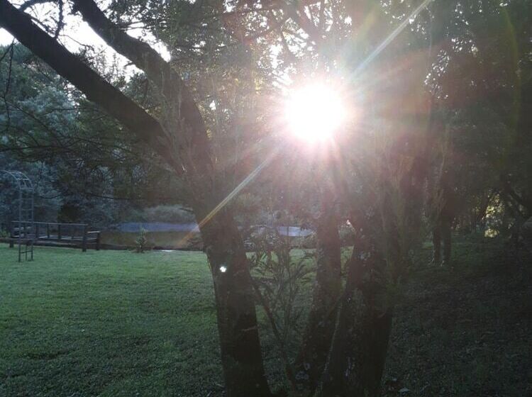 Пансион African Silhouette Guesthouse