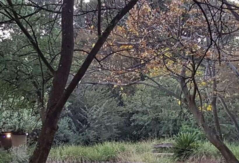 Пансион African Silhouette Guesthouse