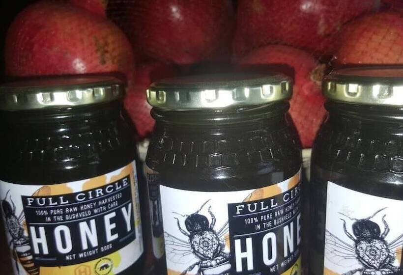 Пансион African Silhouette Guesthouse