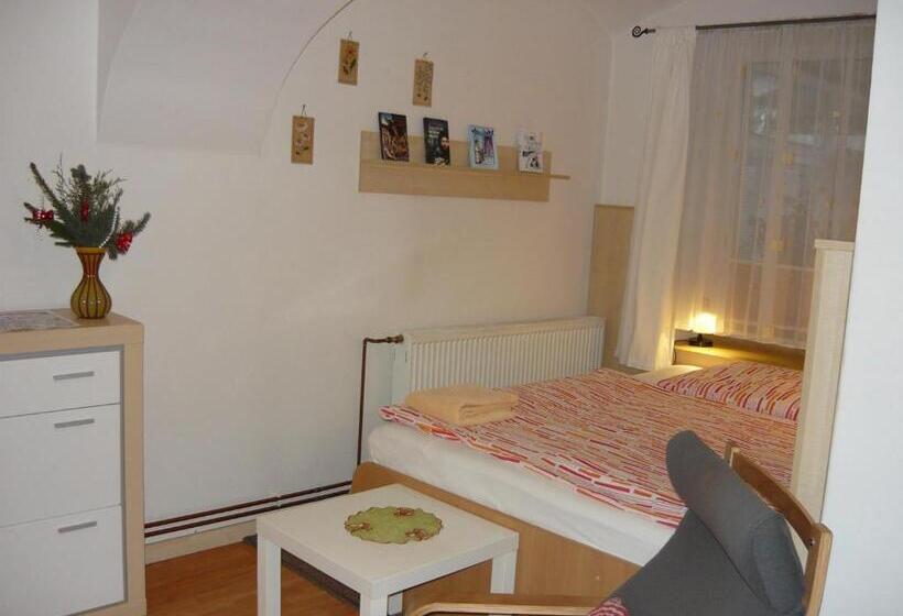 بنسيون Apartments   Penzion Lena
