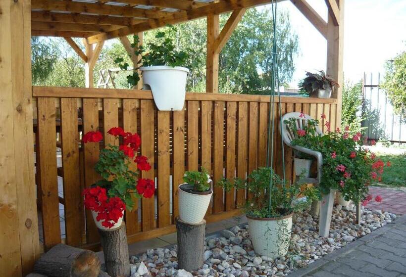 بنسيون Apartments   Penzion Lena