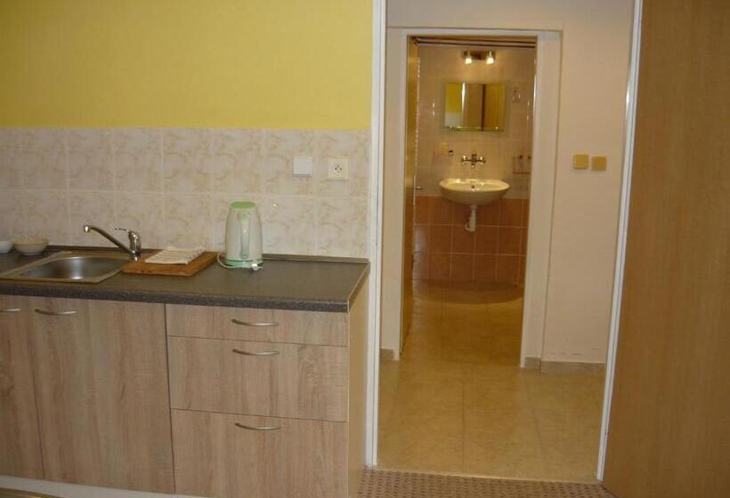 بنسيون Apartments   Penzion Lena