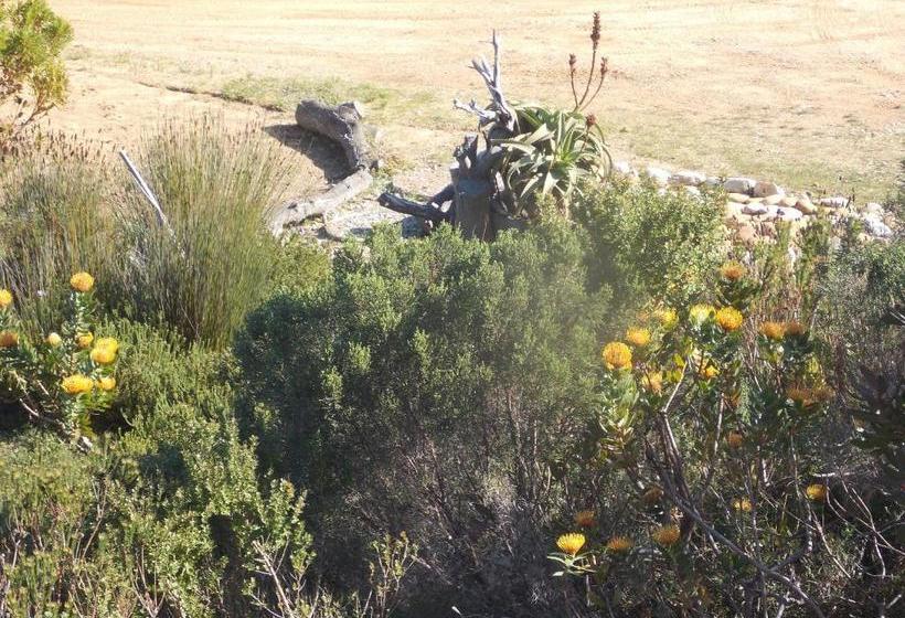 פנסיון Avondsrus Guesthouse