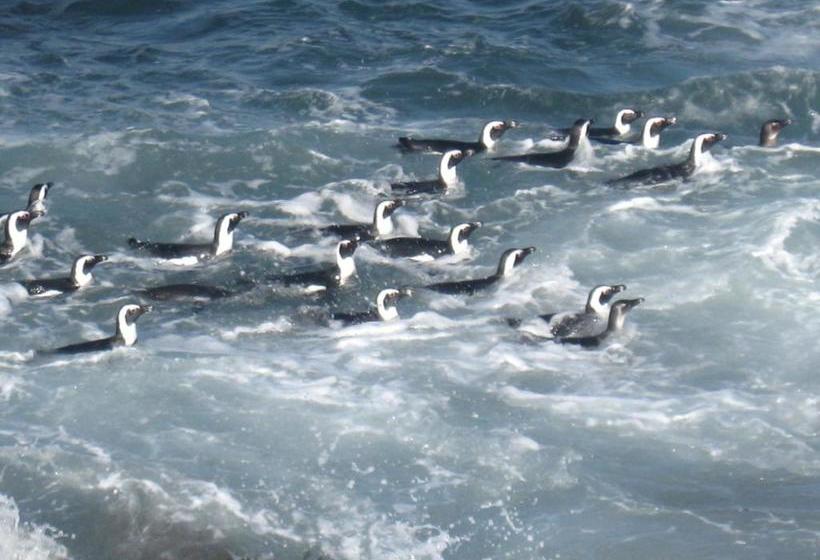 פנסיון Avondsrus Guesthouse