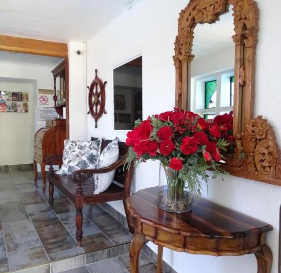 بنسيون Big Skies Guesthouse