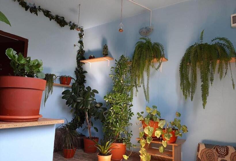 پانسیون Casa Ana