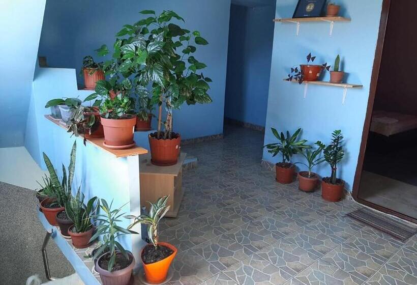 پانسیون Casa Ana