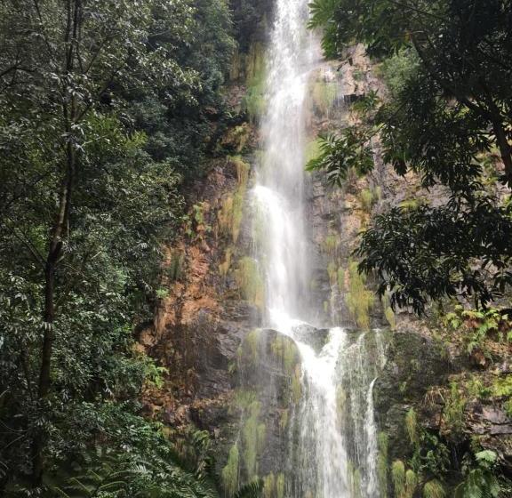 پانسیون Chamonix