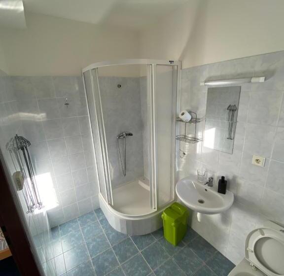 بنسيون Chata Svinec