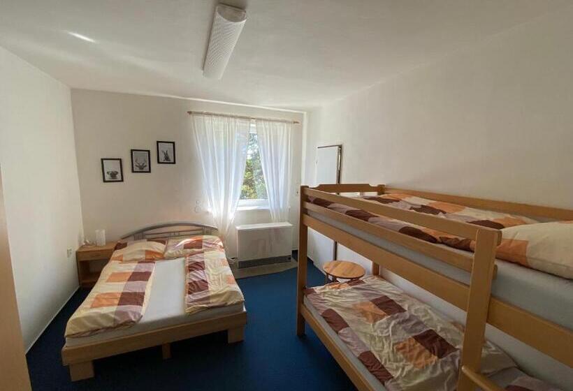 بنسيون Chata Svinec