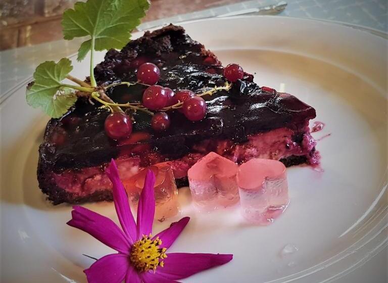 بنسيون Conacul Malul Alb