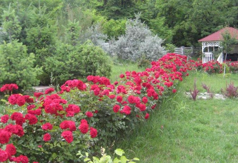 بنسيون Conacul Malul Alb