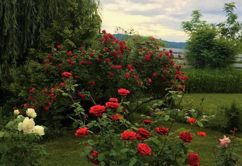 بنسيون Conacul Malul Alb