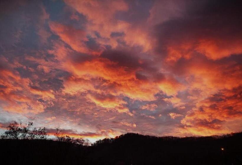 بنسيون Conacul Malul Alb