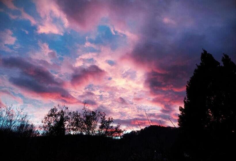 بنسيون Conacul Malul Alb