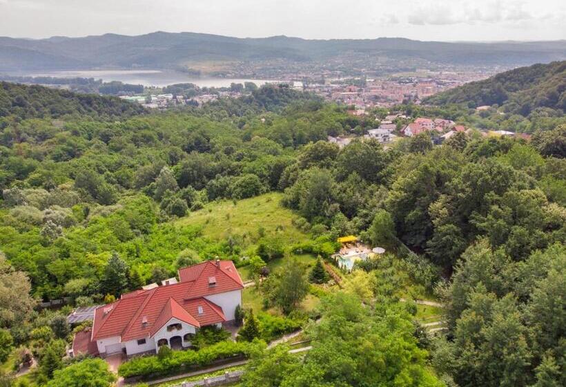 بنسيون Conacul Malul Alb