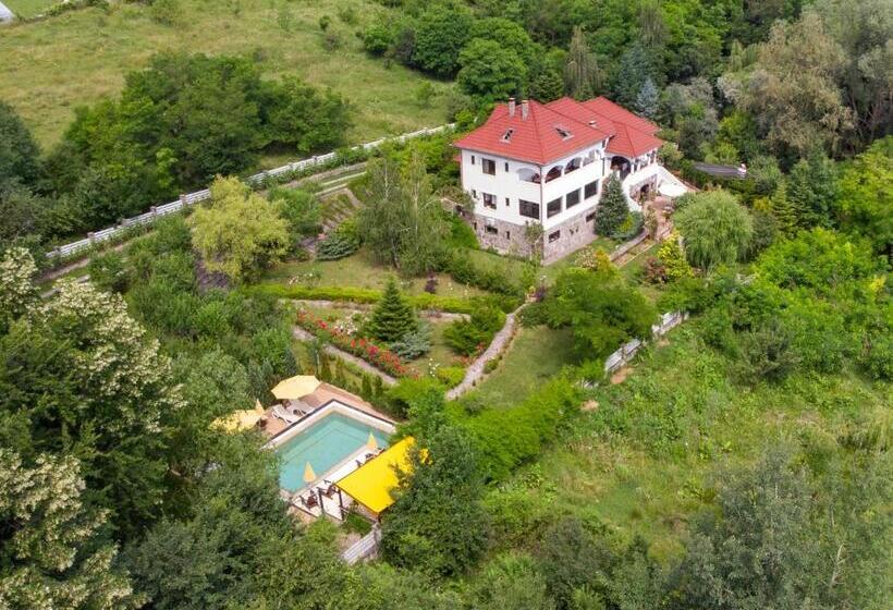 بنسيون Conacul Malul Alb