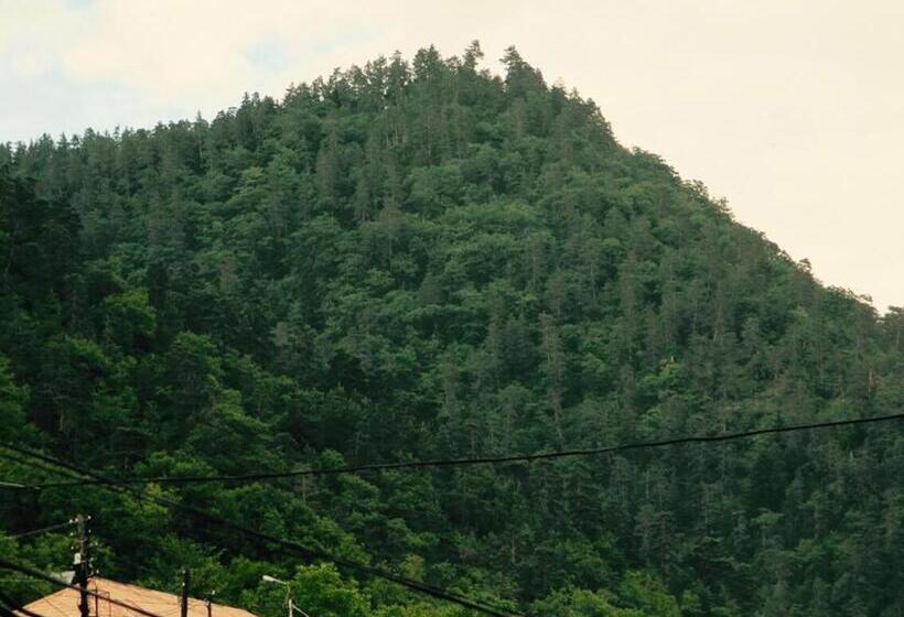 پانسیون Erik's Guest House