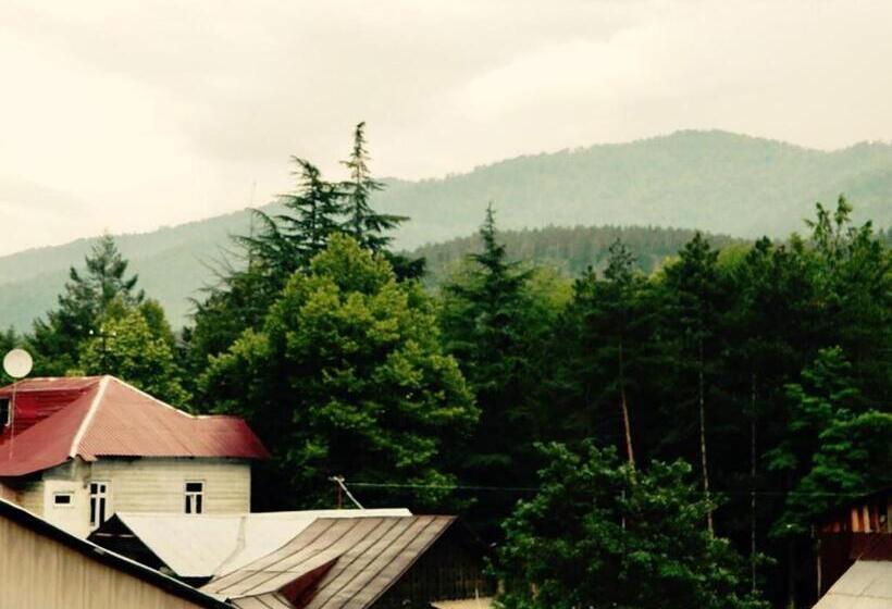 پانسیون Erik's Guest House