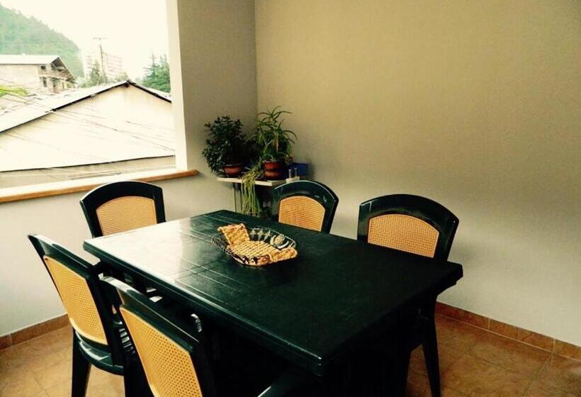 پانسیون Erik's Guest House