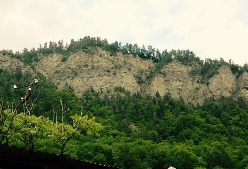 پانسیون Erik's Guest House