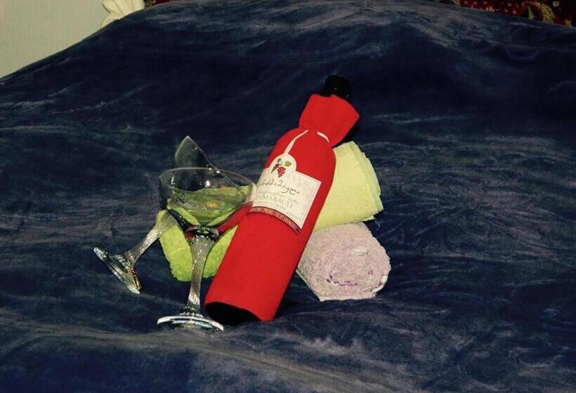 پانسیون Erik's Guest House